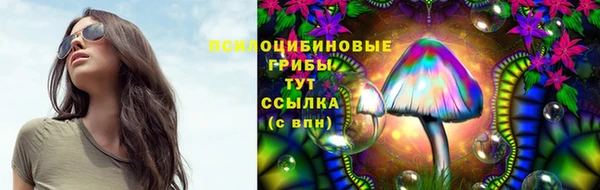 ПСИЛОЦИБИНОВЫЕ ГРИБЫ Сатка
