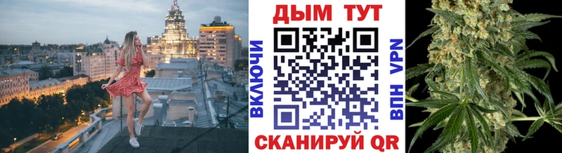 Шишки марихуана сатива где можно купить Волгореченск